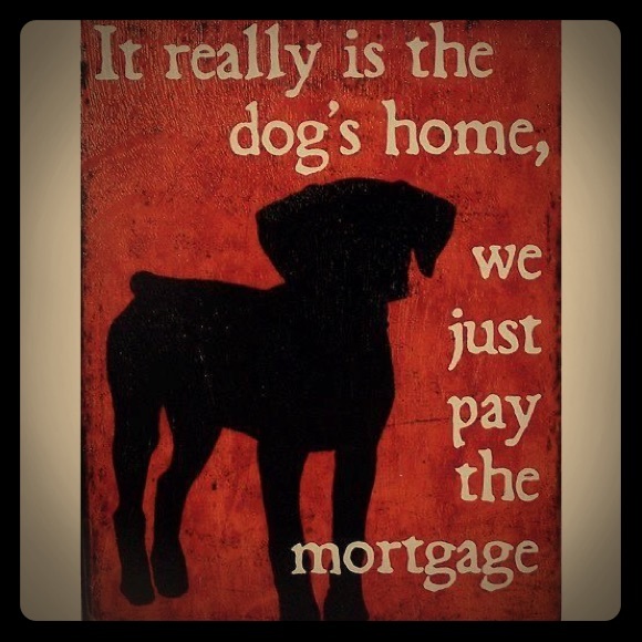 🌸 - Picture 1 of 1